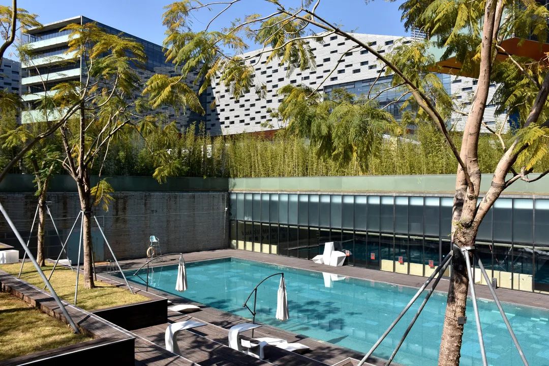 深圳的“黑马学校”，万科梅沙书院和梅沙双语究竟有什么魔力？