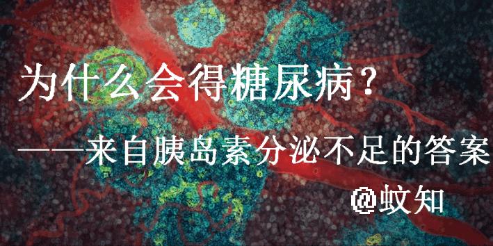 胰岛素是如何导致糖尿病的,胰岛素增多为什么会导致糖尿病