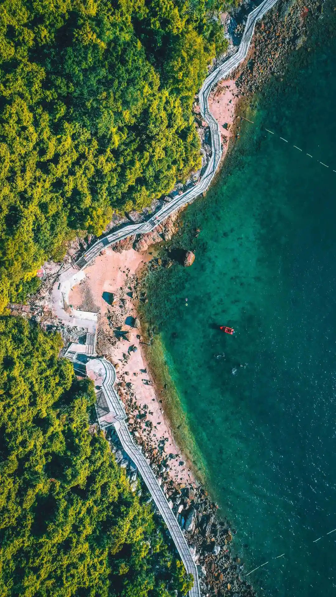 什么是深圳特产,什么是深圳银行