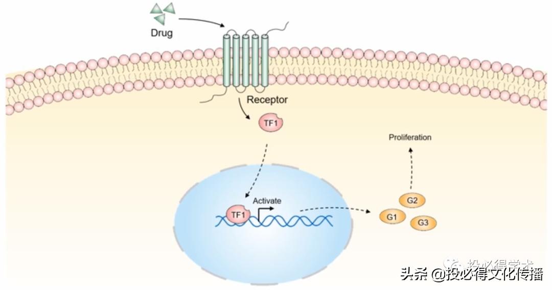 科研绘图流程图全部,科研小白论文图表入门
