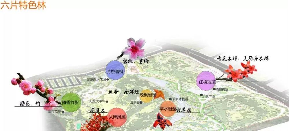 深圳北站公园足球场,深圳市中心公园足球场有多大