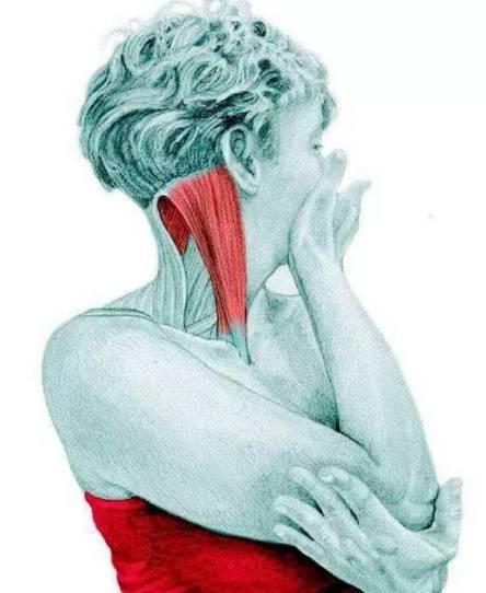 颈椎曲度康复案例,颈椎病康复科普文章图片