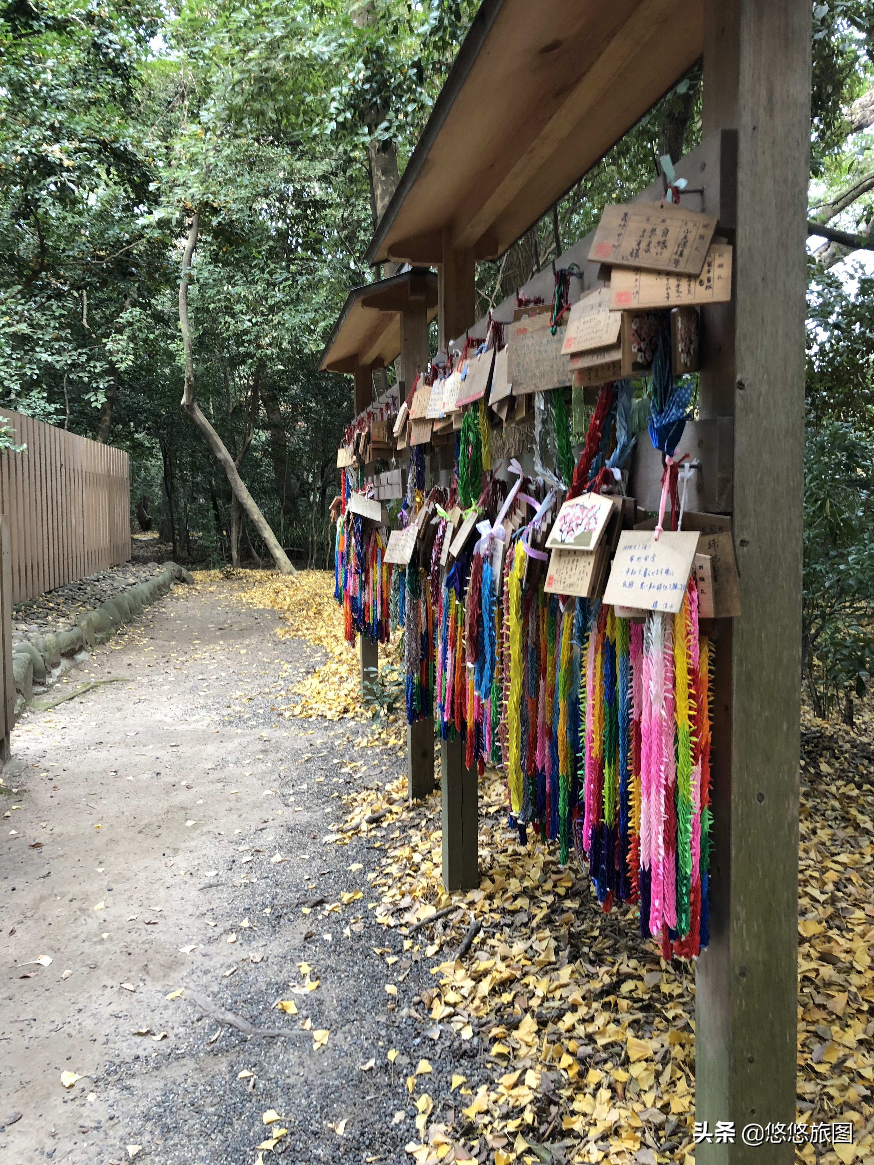 名古屋到白川乡两日游,名古屋之旅全集视频