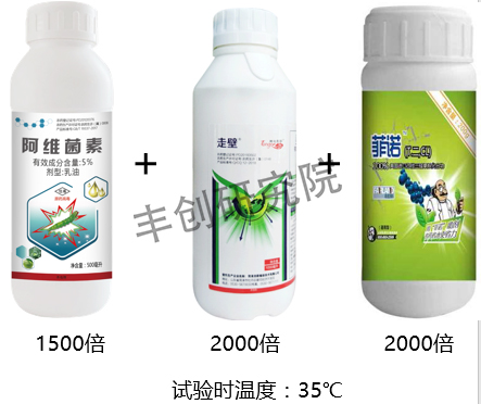 潜叶蛾和红蜘蛛用什么药,潜叶蛾虫害