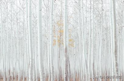 小学语文必备成语积累,1-6年级语文59类常用成语词汇总结