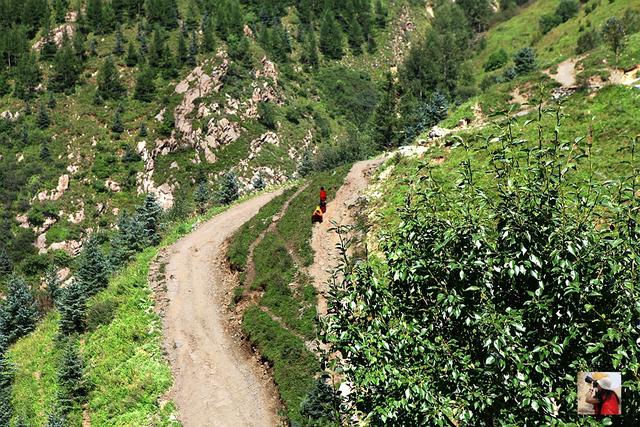五台山高考祈福去哪几个寺庙,五台山寺庙烧香祈福平安