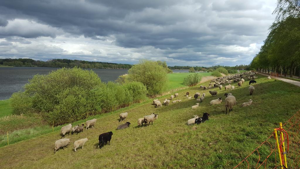 分享一些别人不知道的事,分享给大家不知道的知识