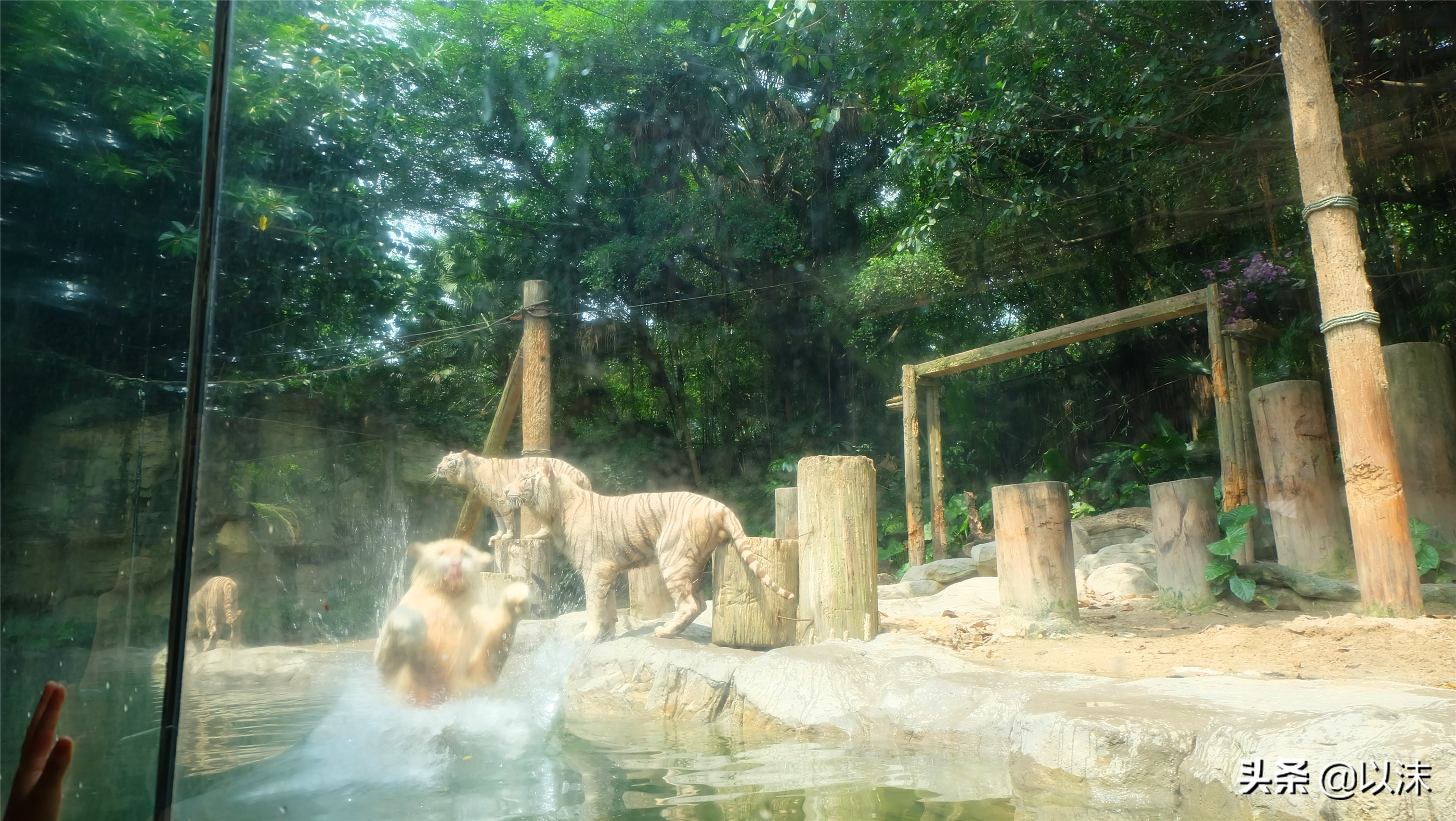 长隆野生动物世界游玩攻略,长隆野生动物世界带娃攻略