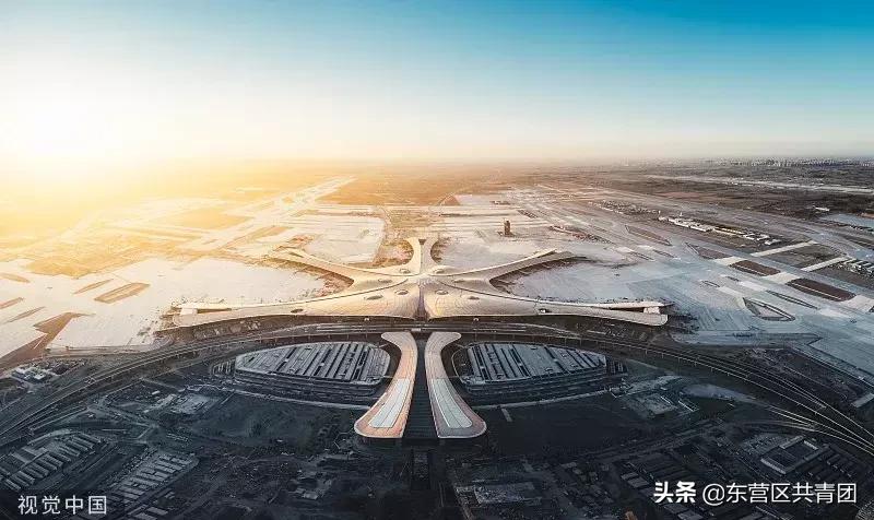 这也太牛了赞,这也太努力了表情包