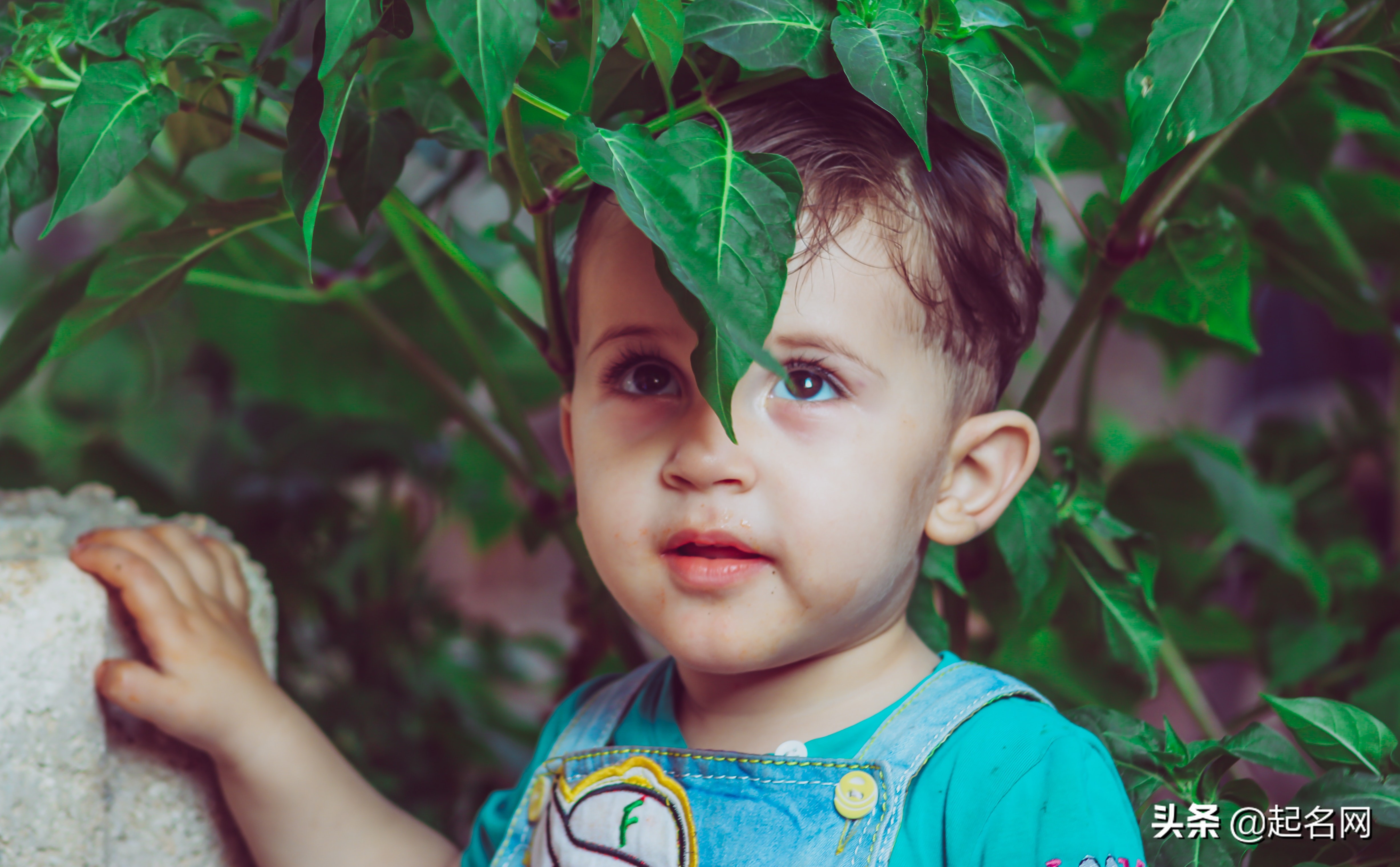 给宝宝起100分真正好名字,假如名字有段位