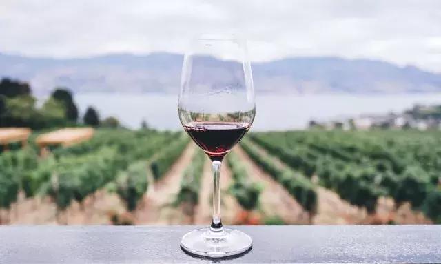 葡萄酒涩度图解,葡萄酒为什么涩