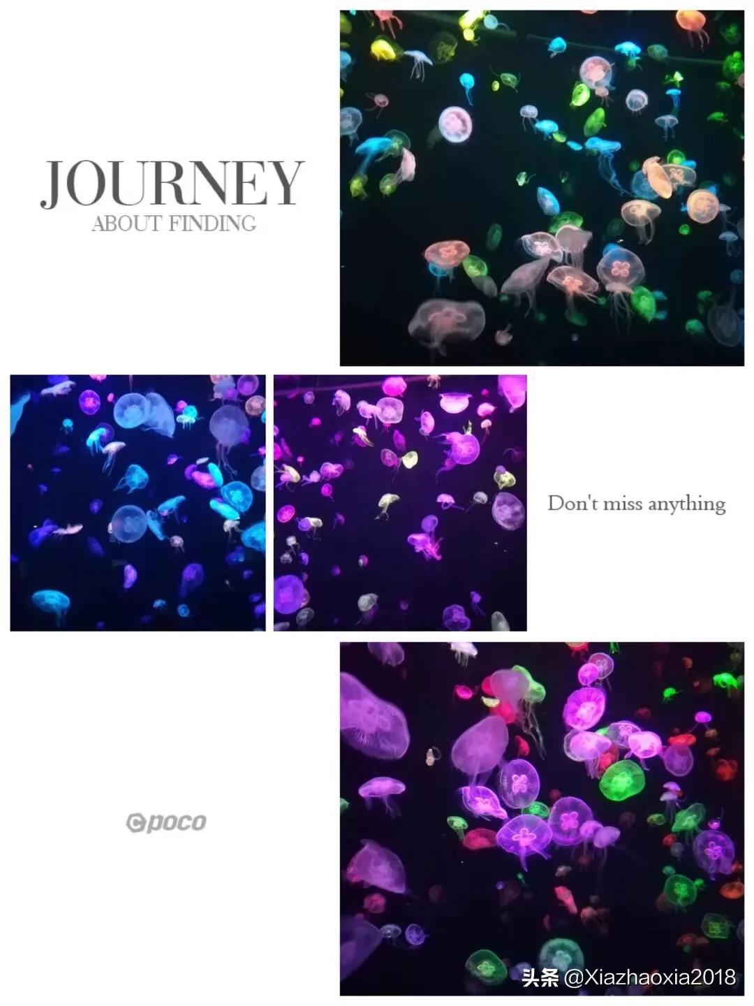 珠海长隆海洋王国一日游攻略路线,珠海长隆海洋王国一日游攻略图文