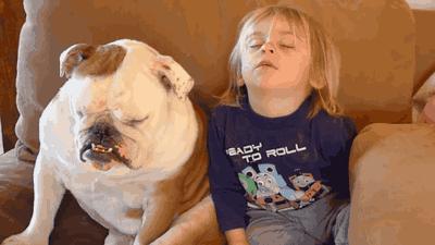 米拉外教：三分讥笑，三分薄凉，四分漫不经心~你的表情包更新了