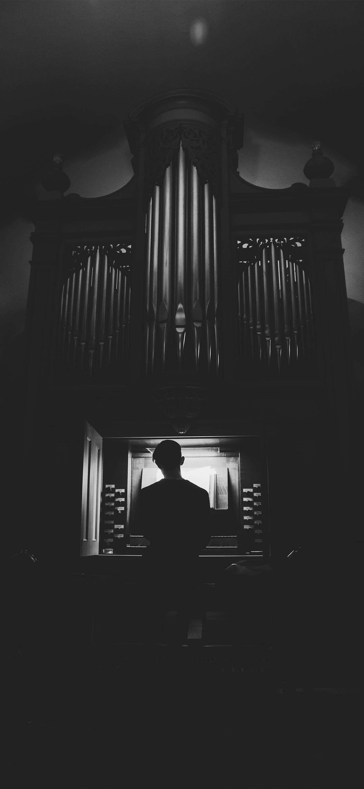 壁纸来了分享图,壁纸来了梵高