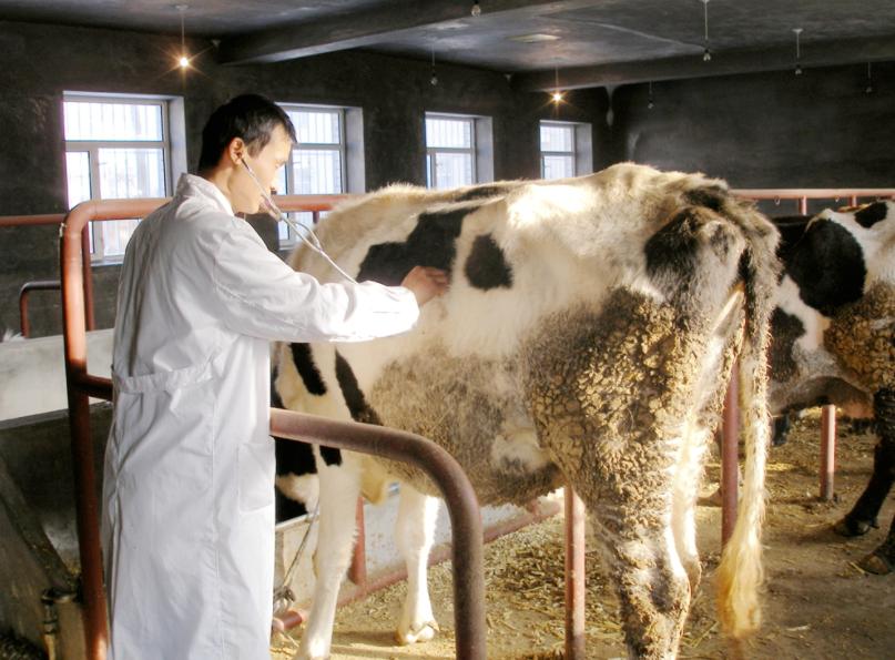 兽医专业可以从事什么行业呢,大学毕业兽医工作具体都做些什么