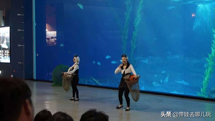 5天小长假国内飞海外,小长假出境游