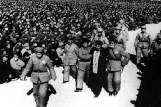 1950年高层贪官建小二楼,惹毛主席震怒,毛主席:拉出去枪毙