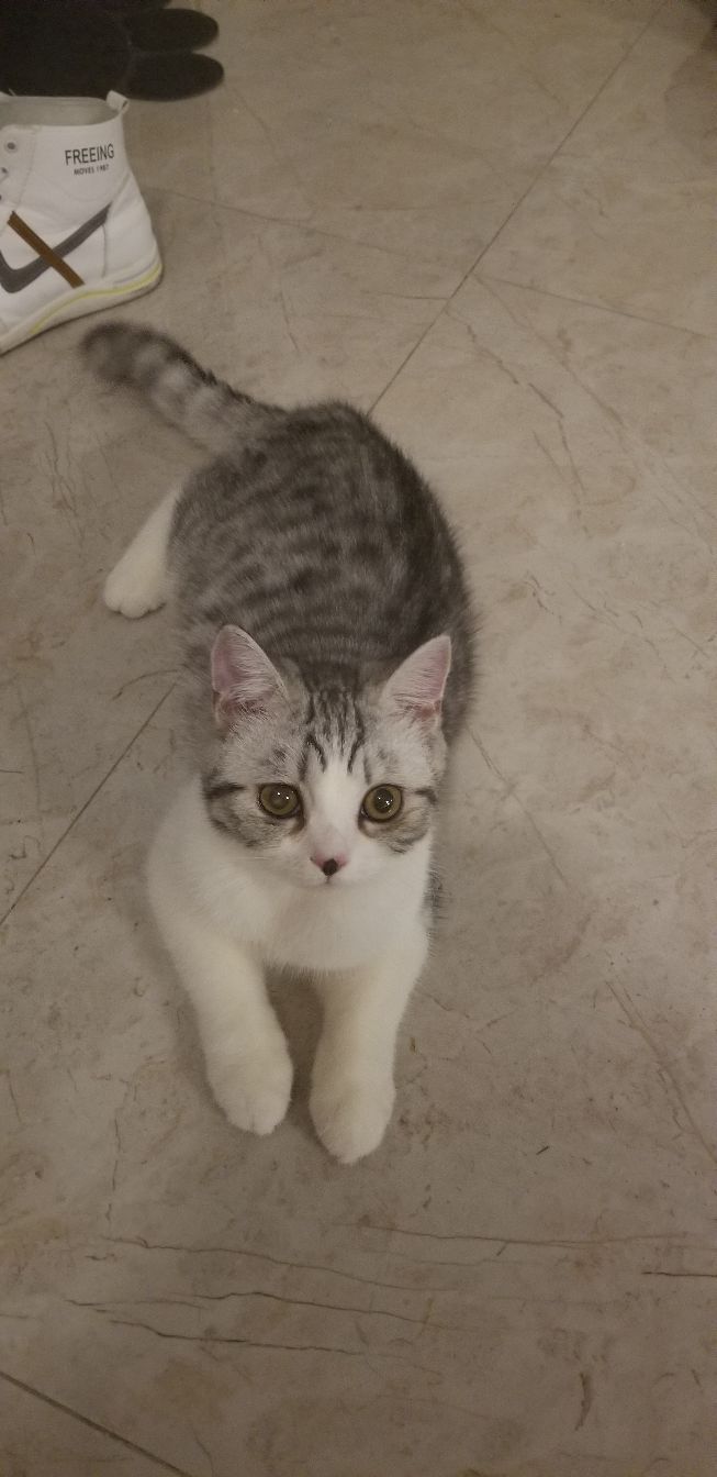 omg怀胎,omg生孩子了吗