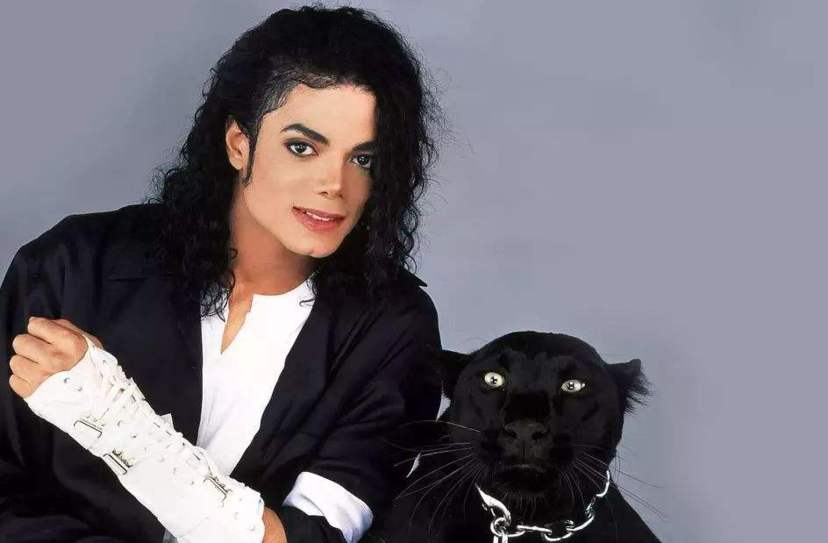 一句话就能成名的网红,一句话爆红的明星