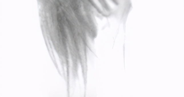 ps复杂背景发丝相近颜色抠图方法,ps通道抠人物发丝