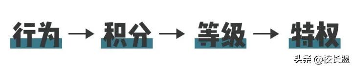 教培机构如何利用会员制,教培机构会员服务计划