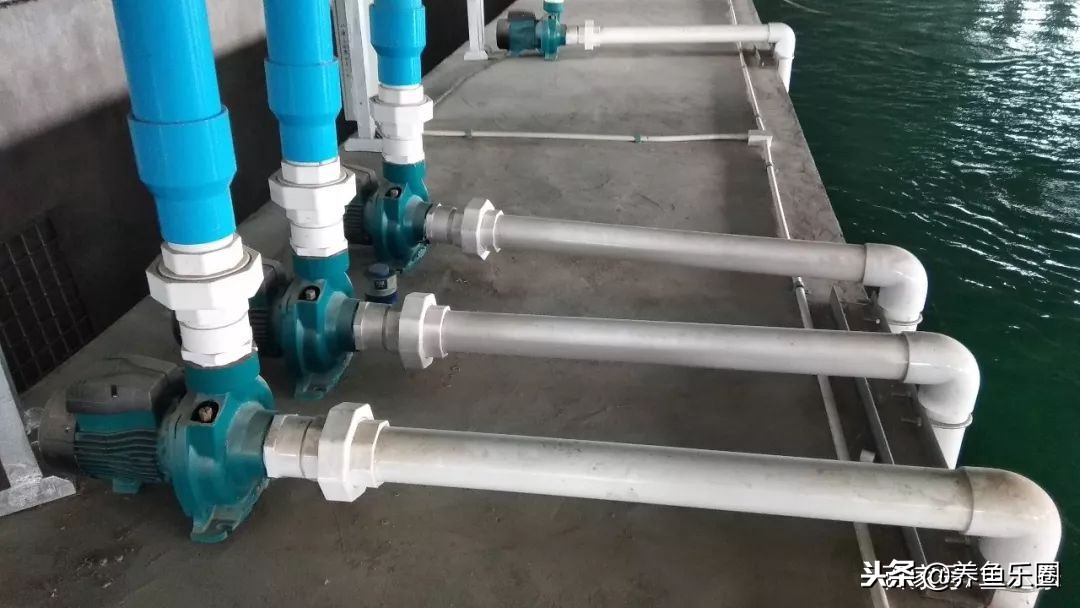 这位土豪家的渔场，光滤材就花了500多万，你确定不要见识一下？