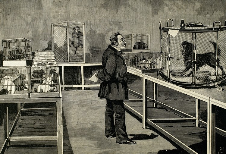 我10岁的时候被狗咬过,10岁那年被狗咬了原视频