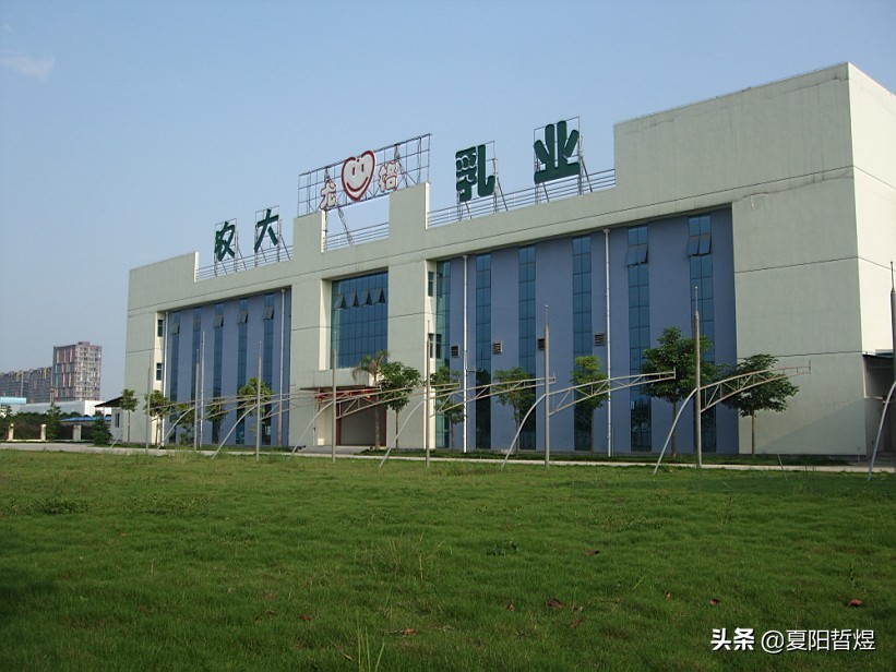 童乐、农大、石埠等，10年前天天喝的广西本地奶，现在怎么样了？