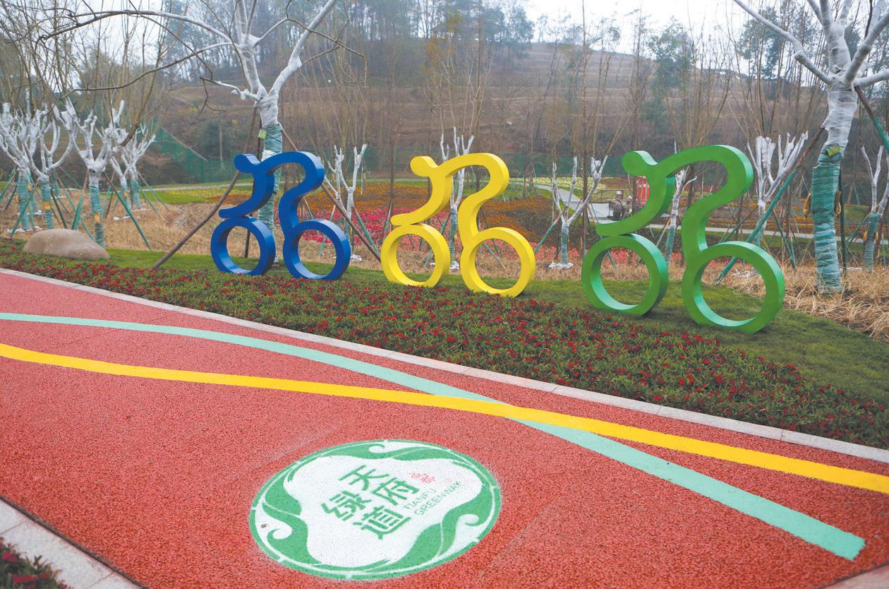 锦城湖绿道桥,锦城绿道多少个桥