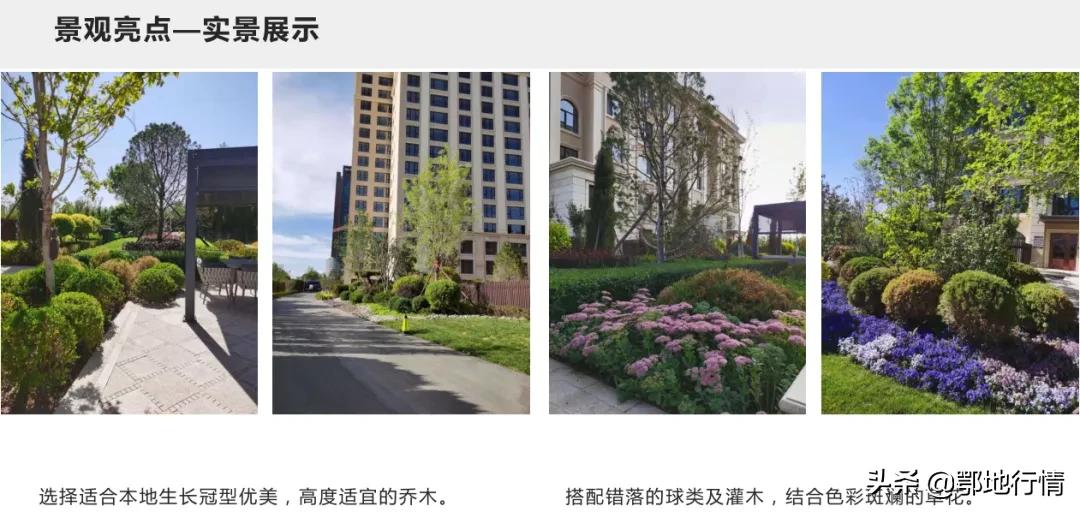 铁西区小户型品质楼盘,铁西品质楼盘在哪个位置