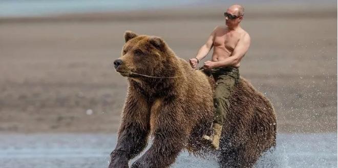 普京新传完整版,别惹我普京新传书籍