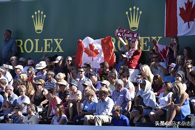 什么！听说几天后云杉草地将会上演一场冠军“厮杀”?
