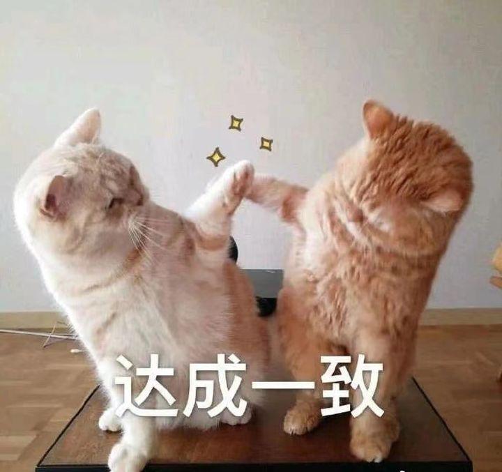 wildfieldhealth评测,wildfieldhealthcare