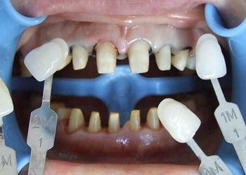 雅虎是什么意思啊,牙虎小知识