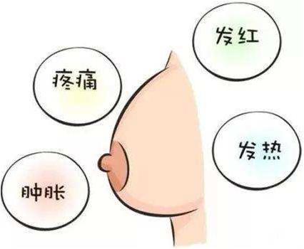 中招报名怎么查是否报名成功,怀孕中招几率