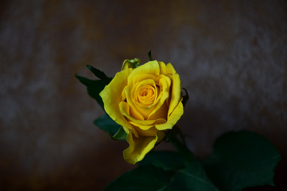 玩欲擒故纵的男人是爱还是不爱你,男的对你欲擒故纵女的应该怎么做