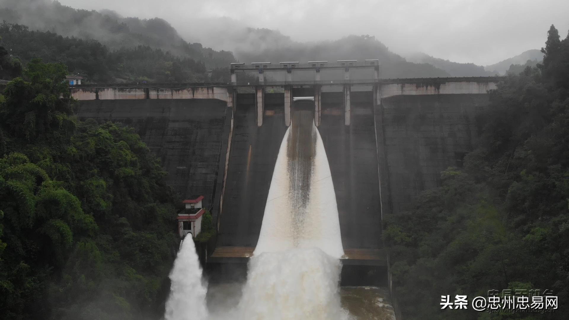 忠县白石水库最新消息,丹江口水库开闸泄洪大场面