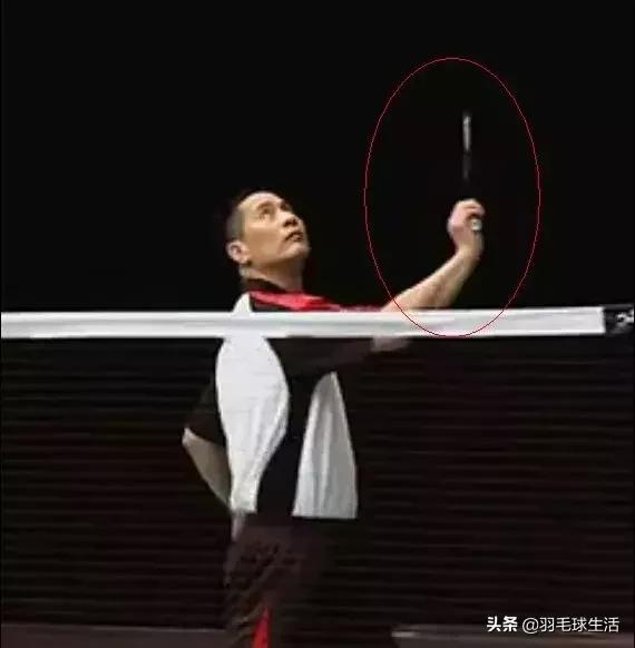 羽毛球小常识100条简短,羽毛球的五个小知识