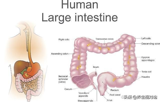 不论男女，这几个地方越干净，也许对身体健康不利，提前了解一下