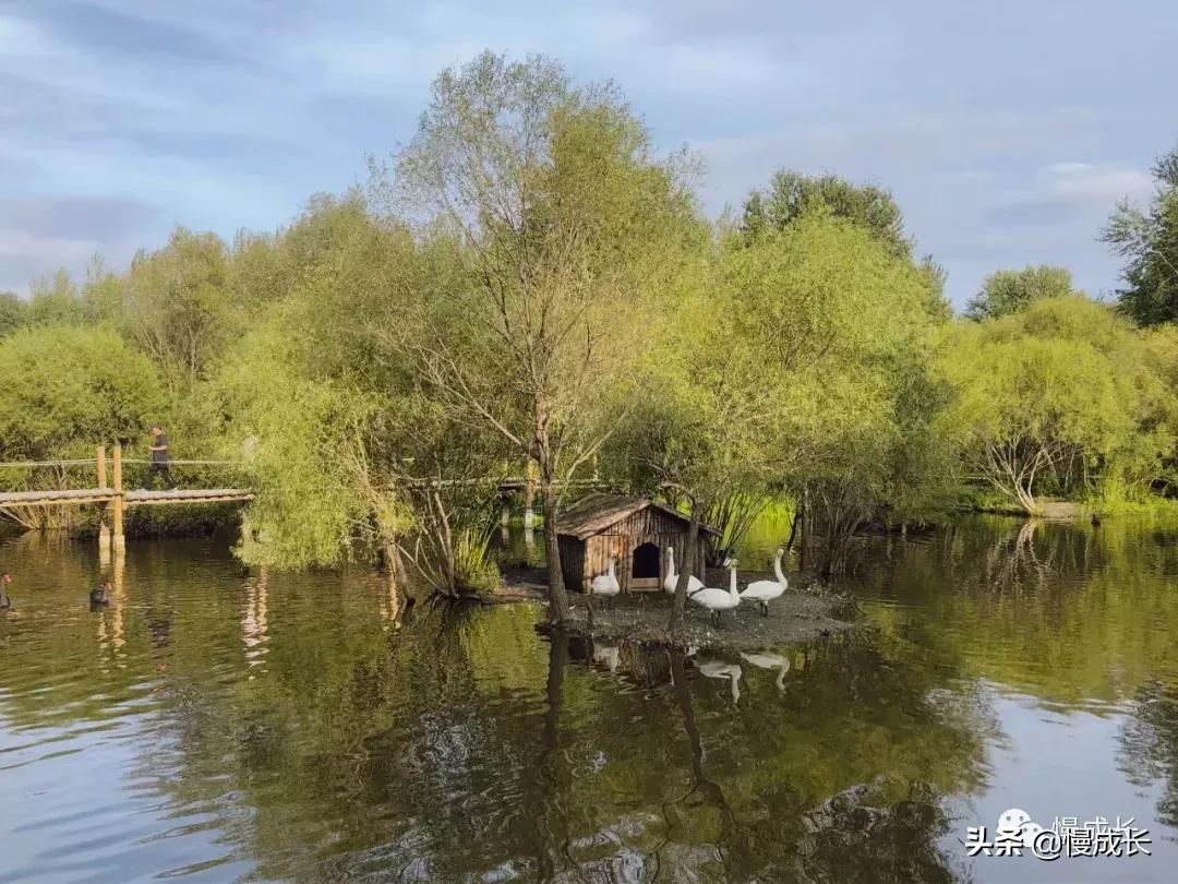 哈尔滨去威海亲子游,哈尔滨旅游攻略亲子游四天三夜