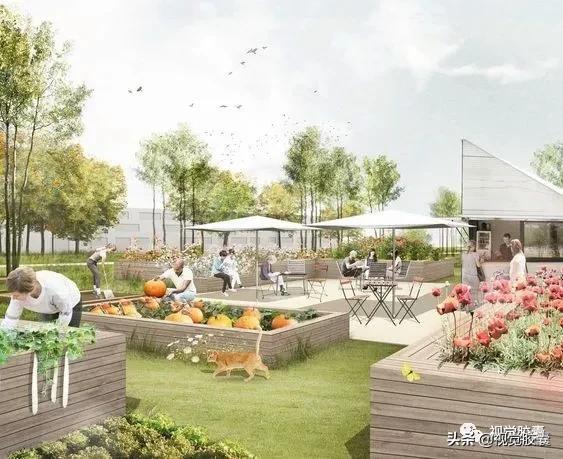 乡村蔬菜大棚的设计,蔬菜精美设计图片