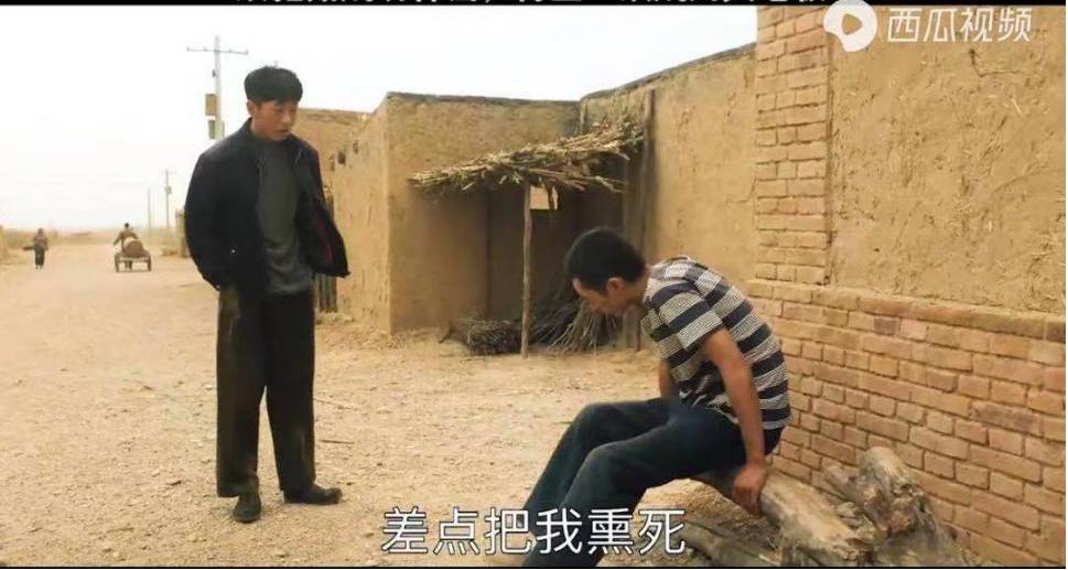 山海情里面的蘑菇是什么菇,山海情中的蘑菇是什么品种