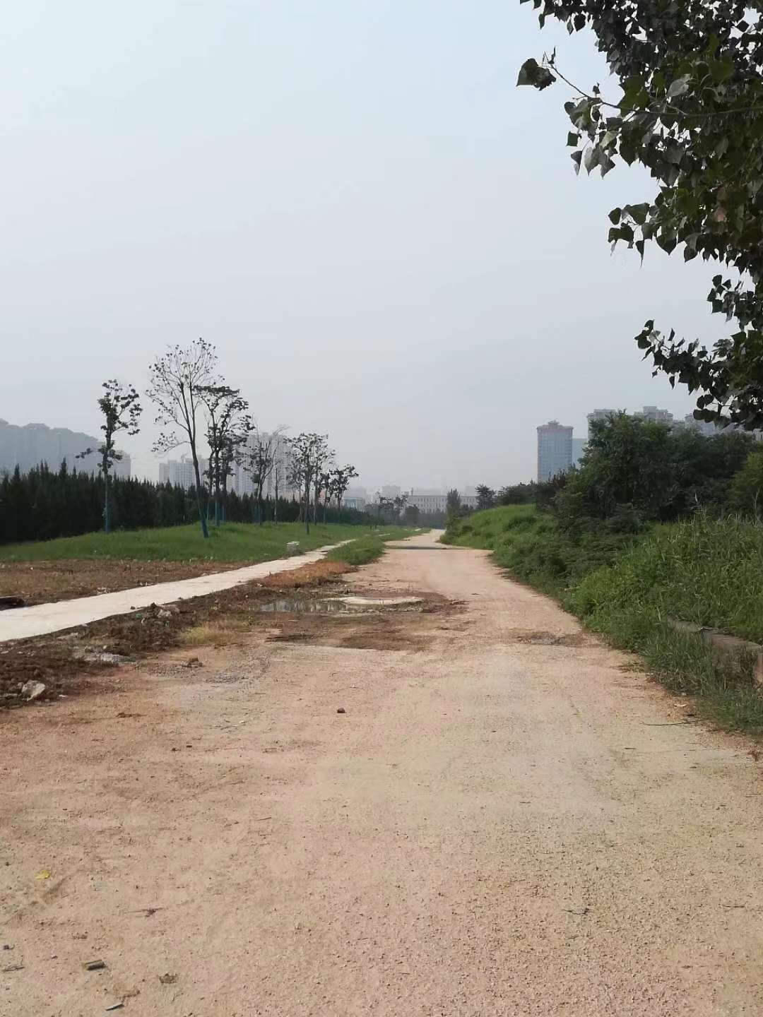 历史和未来,夹心层未央宫简介