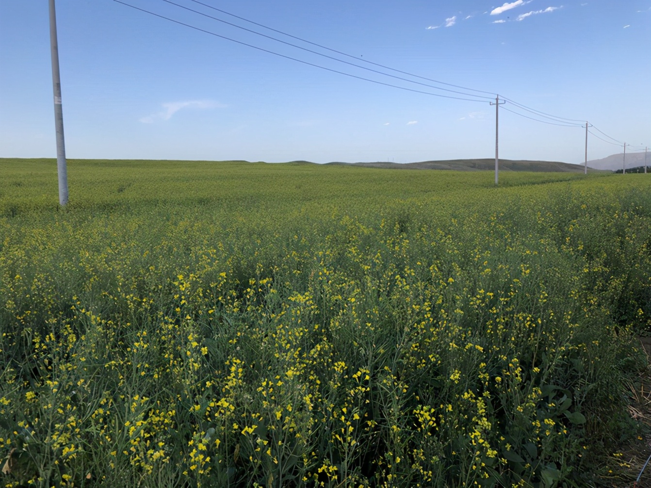 一家四口暑假日常之去游乐场,四川亲子游5日游8月游记