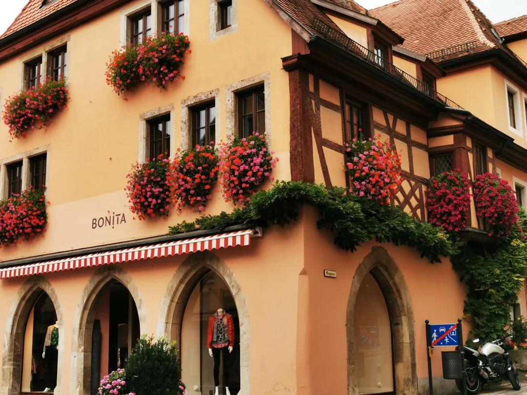 东北花园四季开花植物,北方一年四季都开花的花园