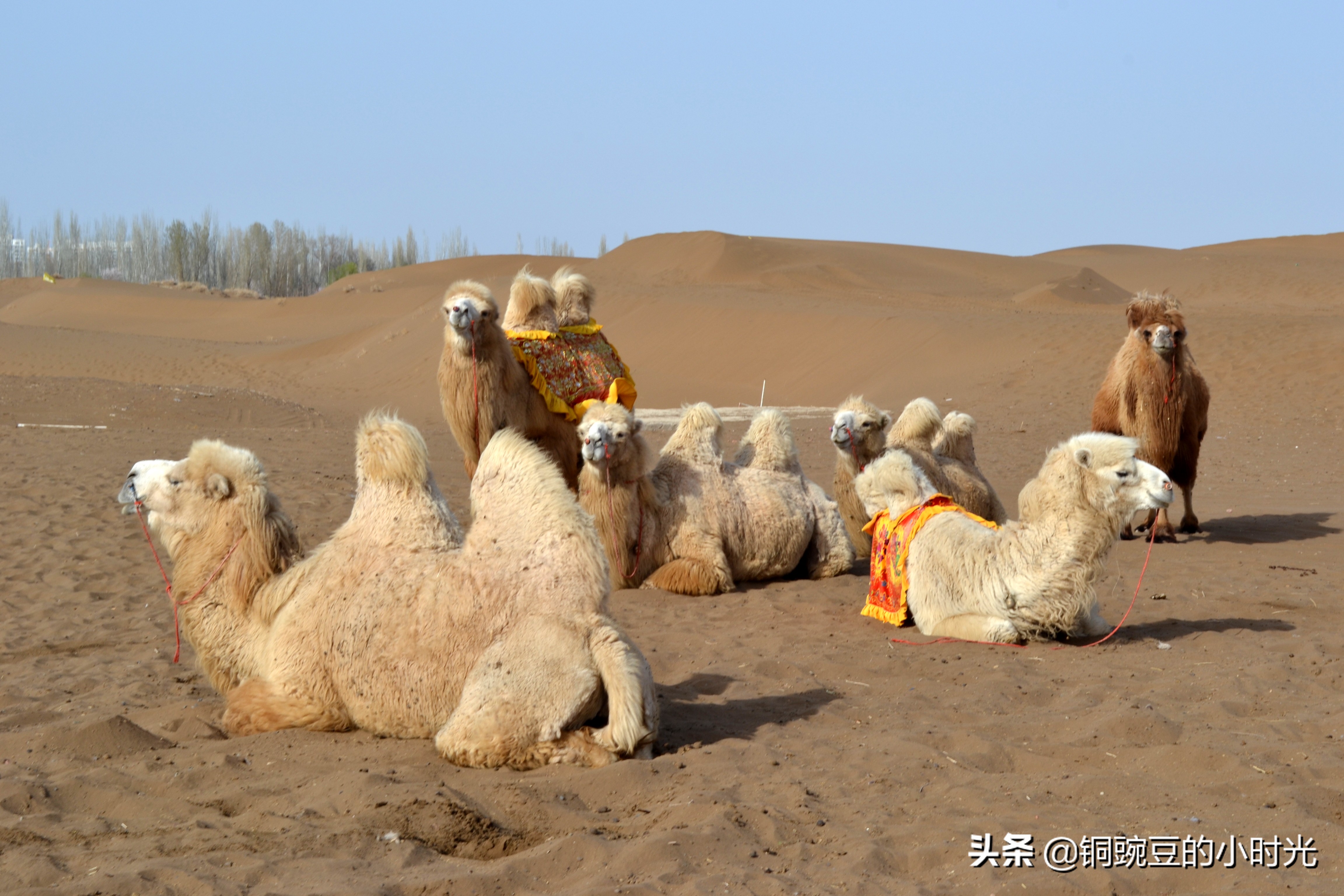 大美新疆之乌鲁木齐,大美新疆之吐鲁番火焰山