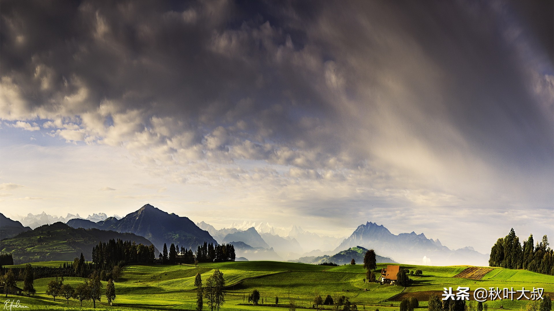 面对领导的打压与排挤你该怎么做,面对领导排挤三种方法高情商回击