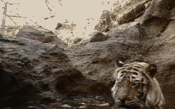 天津人去哪洗澡,天津人爱洗大澡