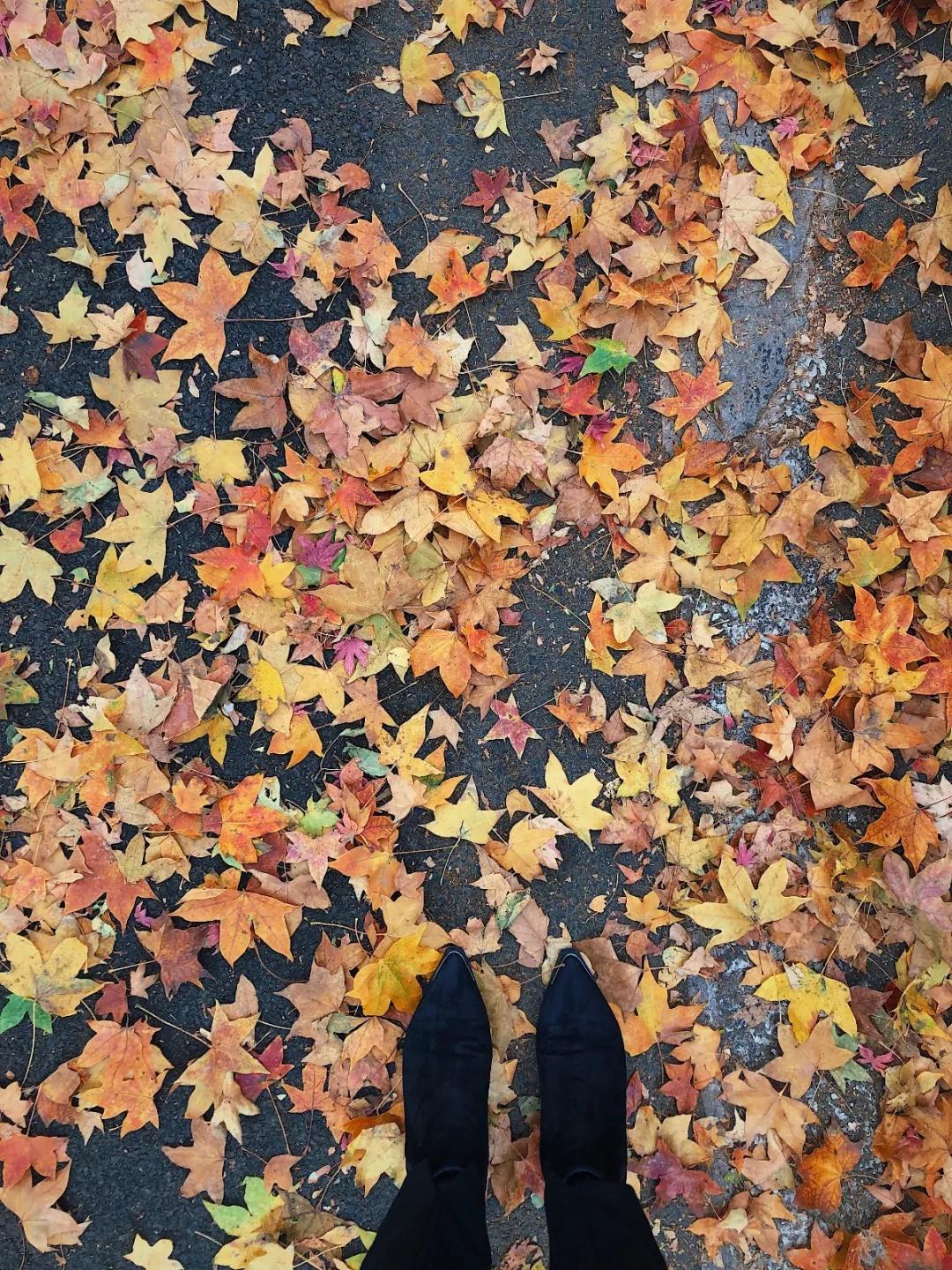 又一条最美自驾线路,又一条绝美进藏自驾公路