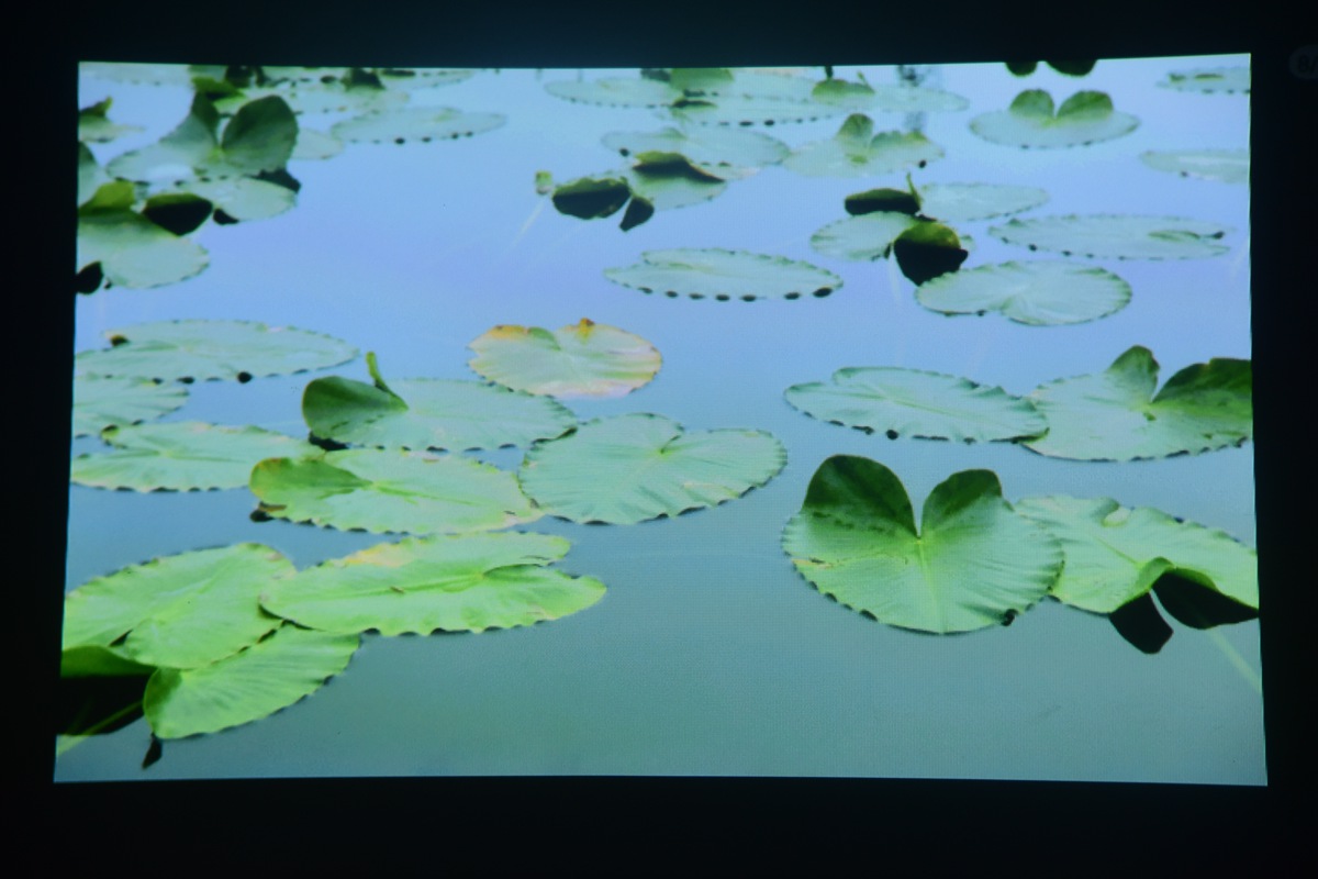 新款家用投影仪高清小型便携投影,口袋智能微型投影仪